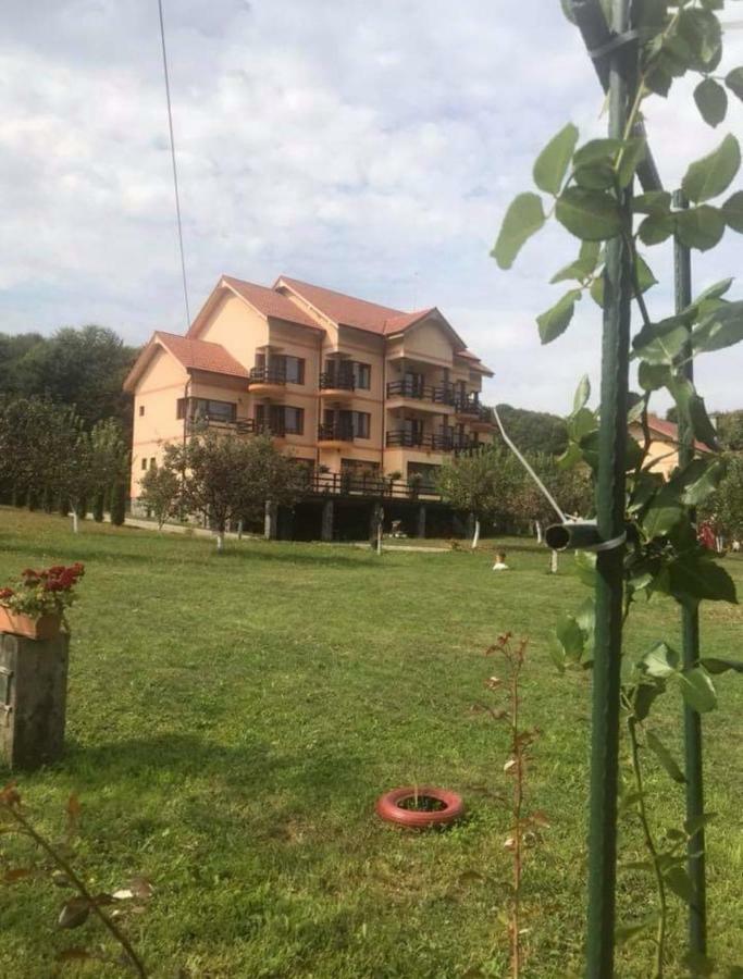 Pensiunea " La Papa" Huta Certeze Exterior foto
